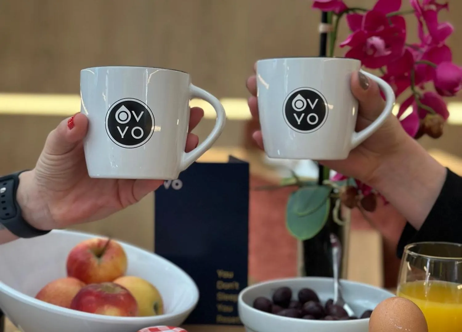Ovyo Hotel Toulouse