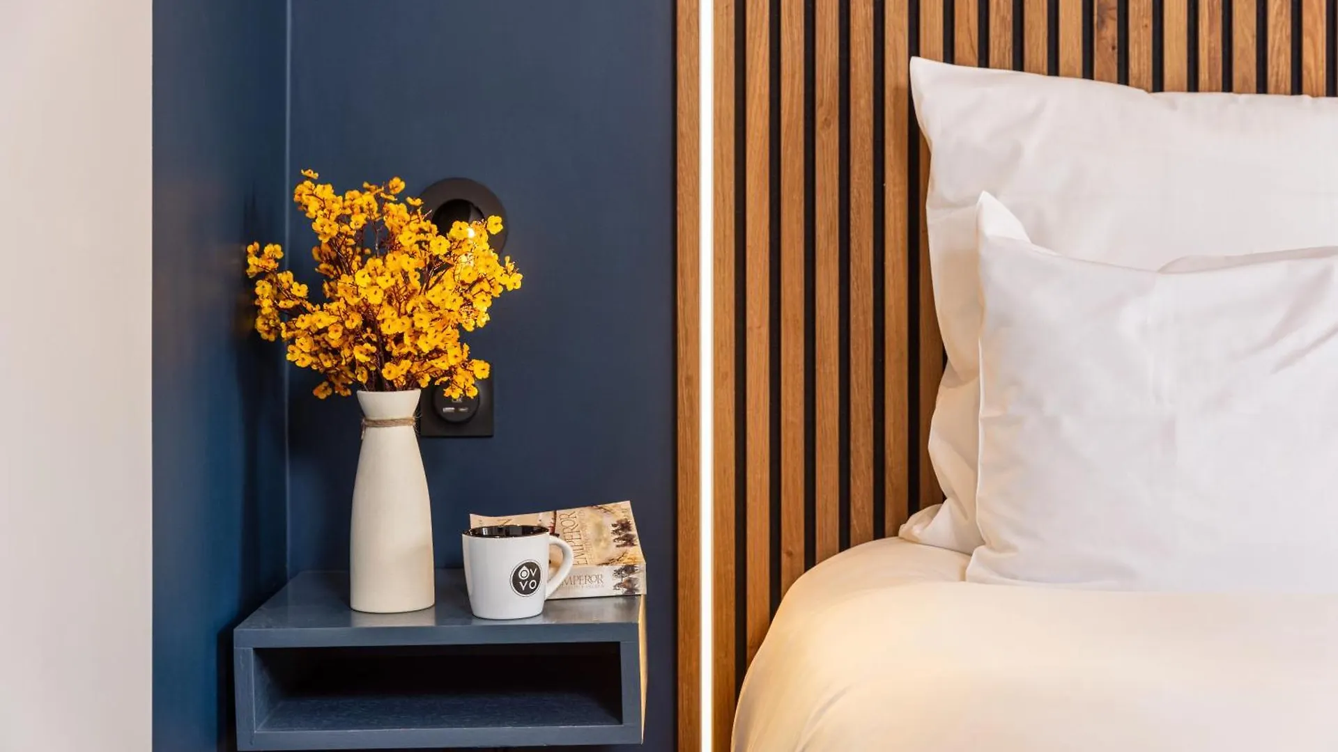 Ovyo Hotel Toulouse