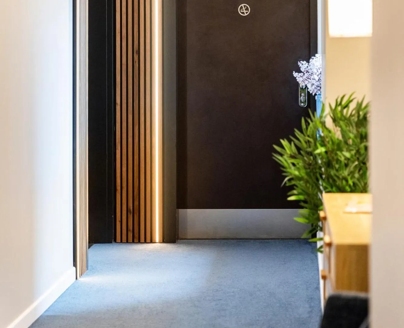 Ovyo Hotel Toulouse Francia